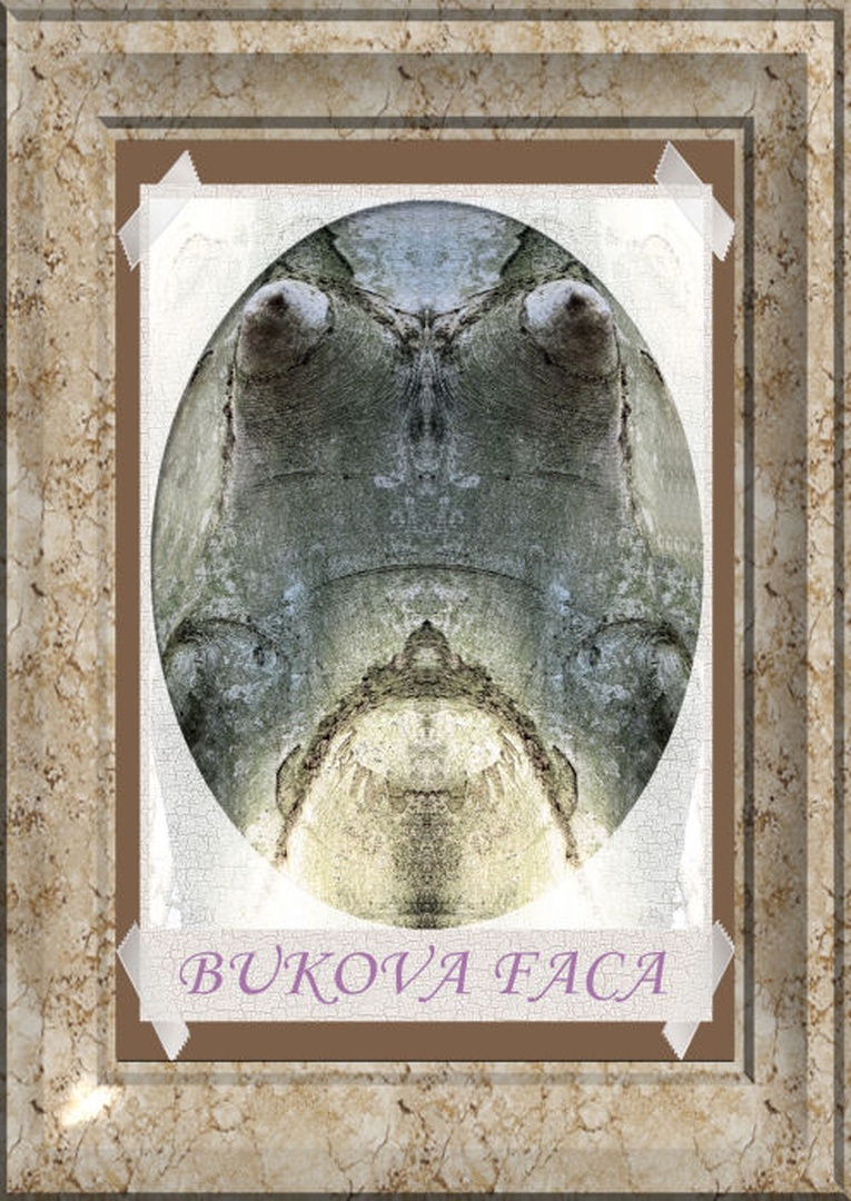 Bukova faca by Anton Zupanc