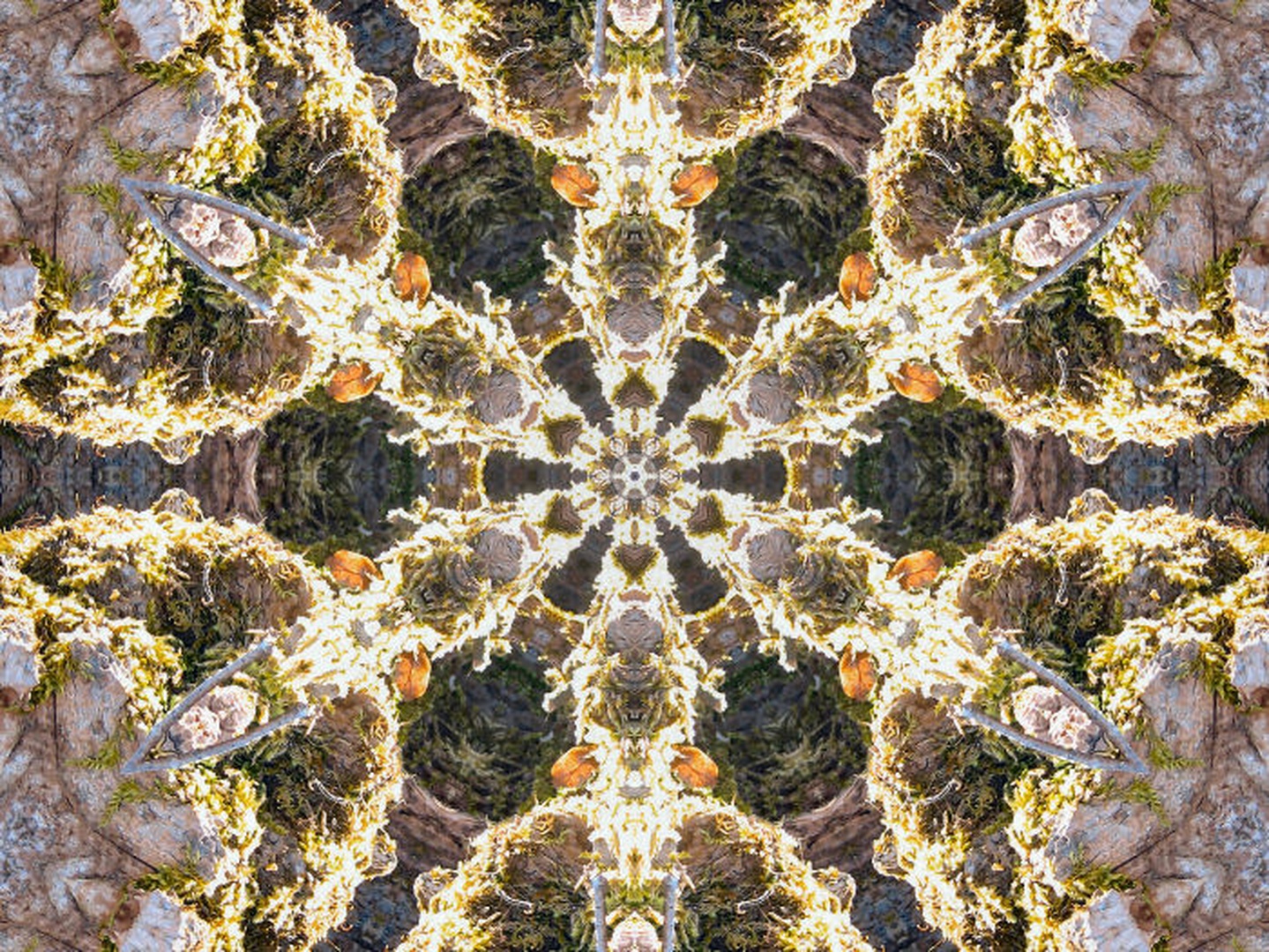 kaleidoskop by Anton Zupanc