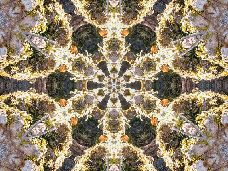 kaleidoskop by Anton Zupanc
