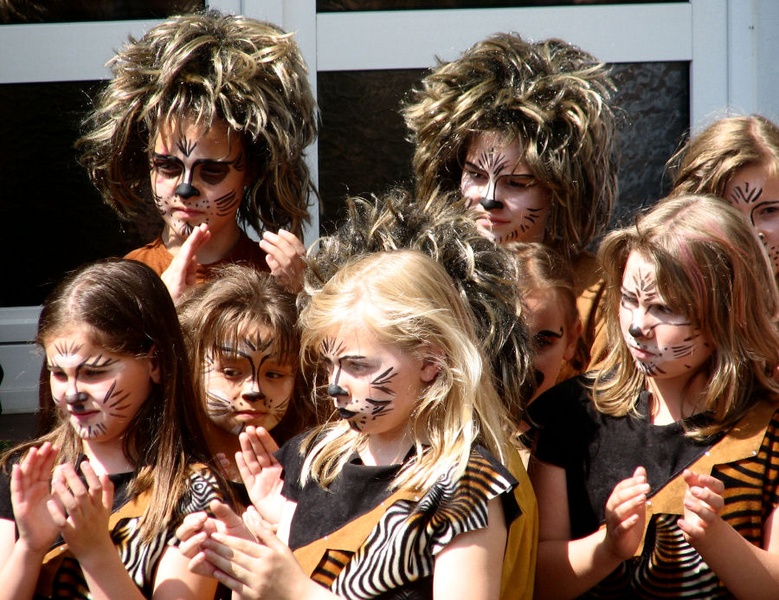 Cats by Anton Zupanc
