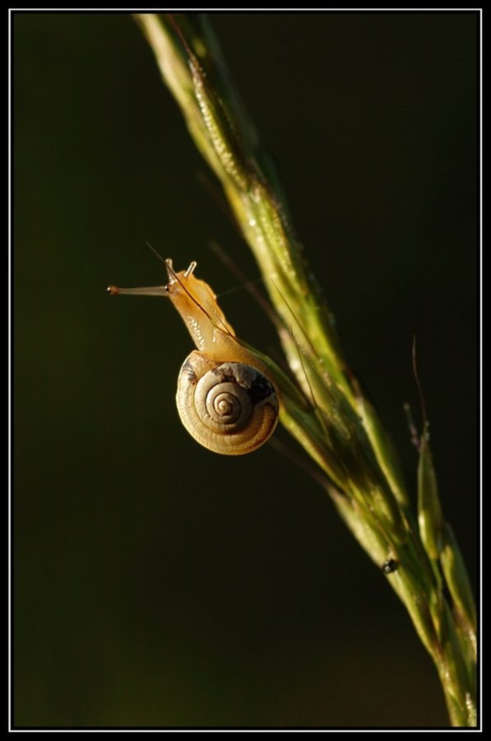 To the top! by