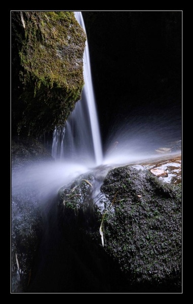 Nature i care about! by dawc