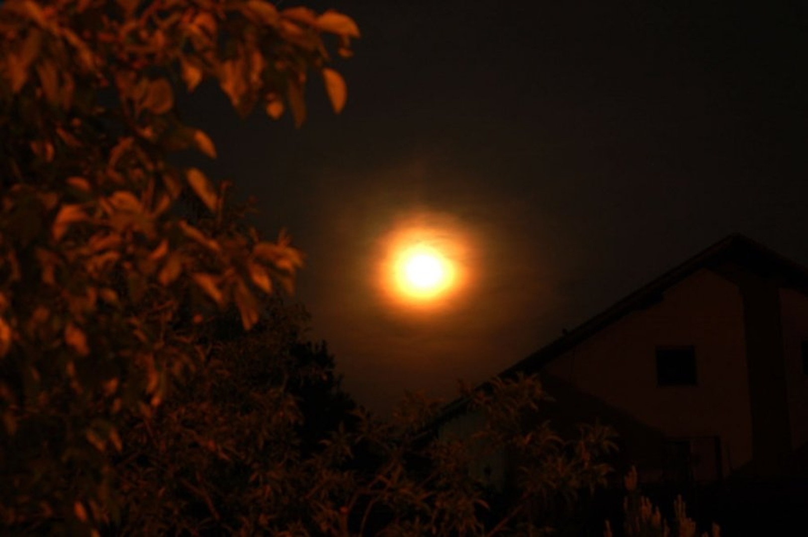 lunica by Jure Horvat