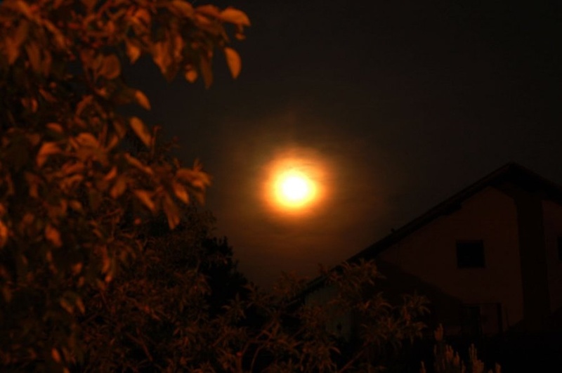 lunica by Jure Horvat