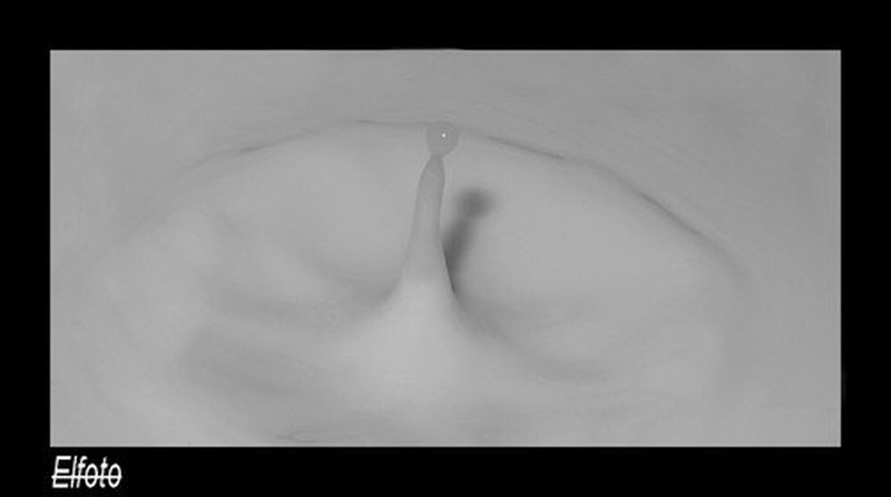 milksplash by Jure Horvat