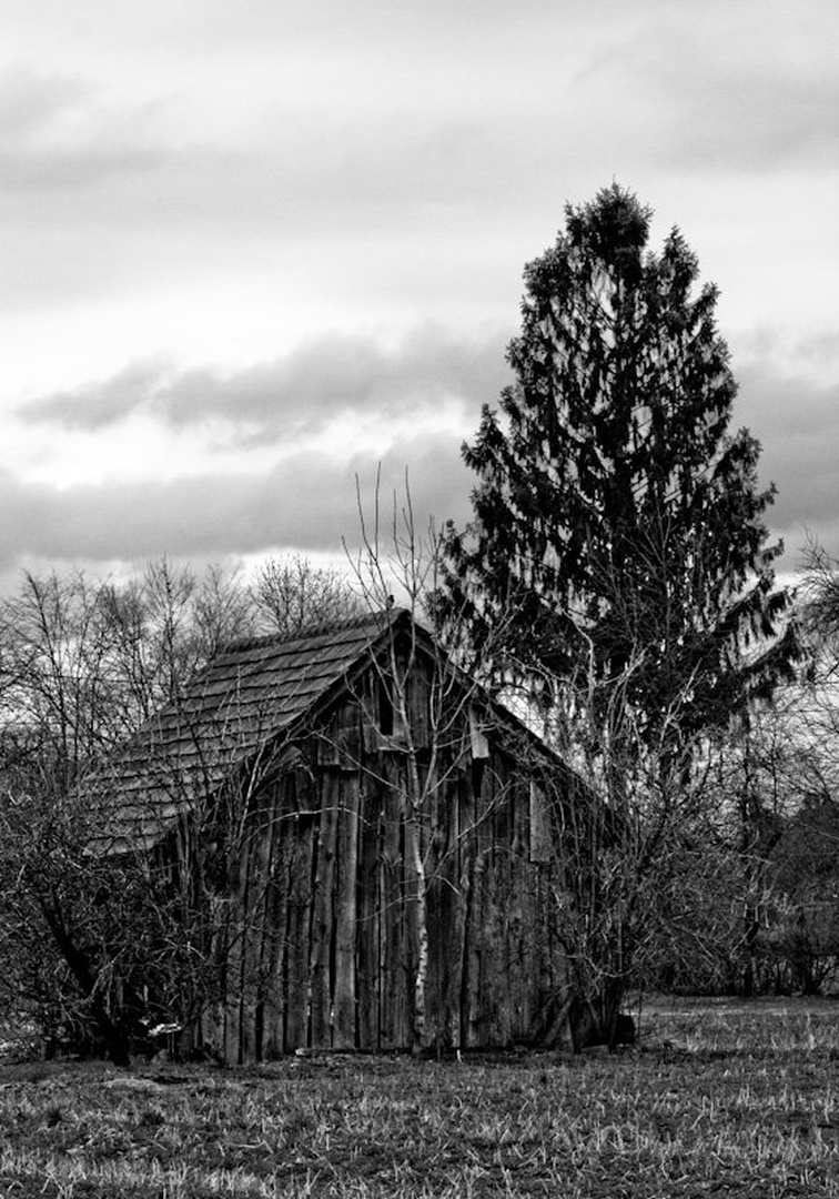 Old house by Luka Ploj