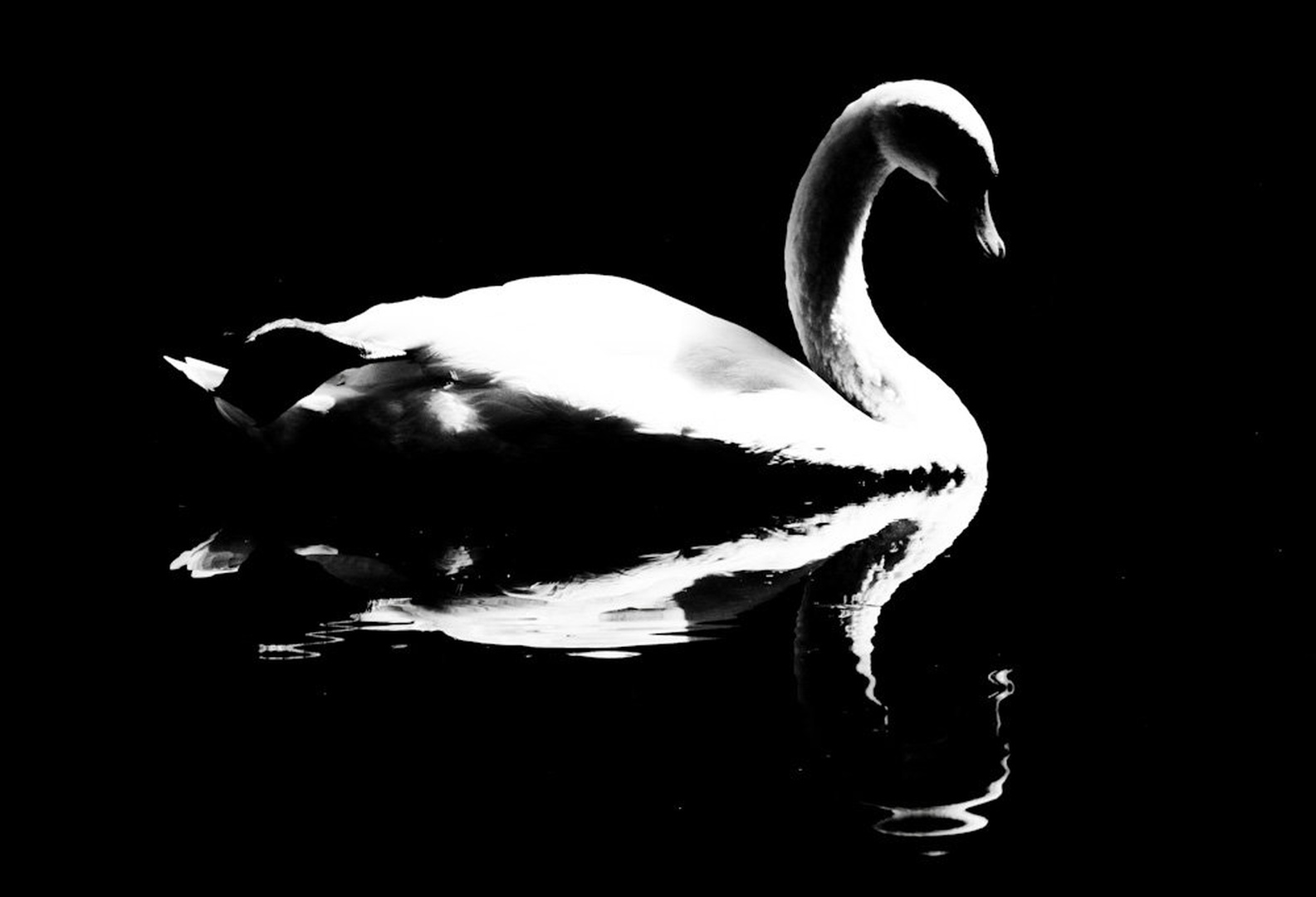 Lonely by Luka Ploj