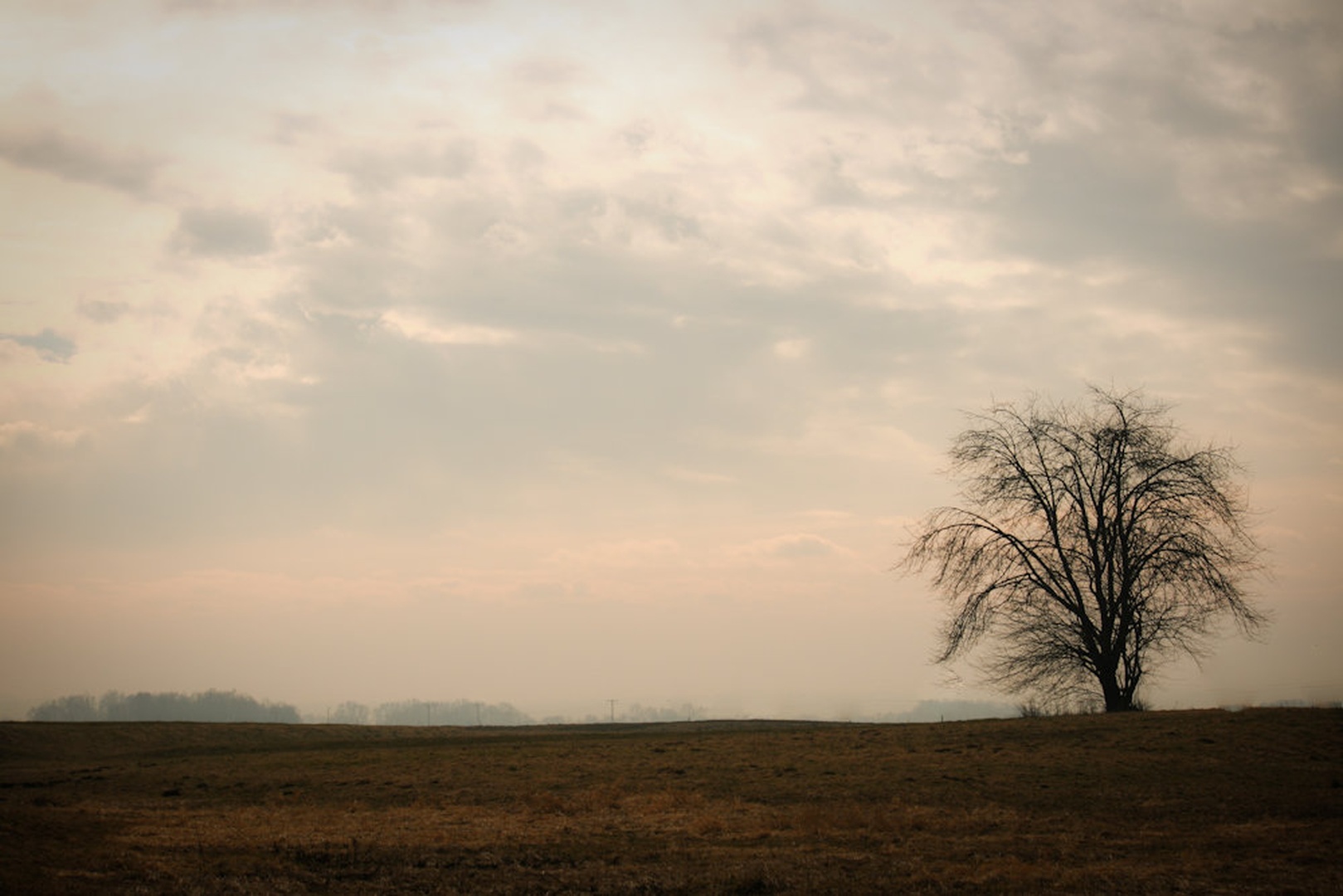 One and only by Luka Ploj