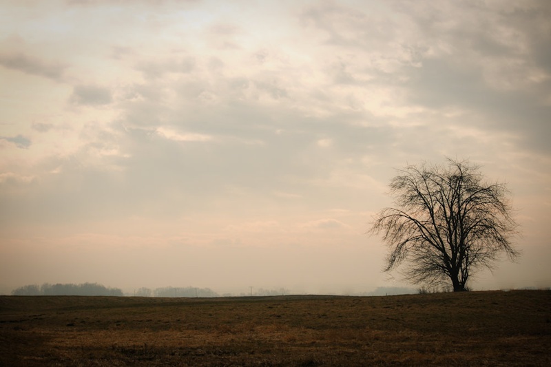 One and only by Luka Ploj