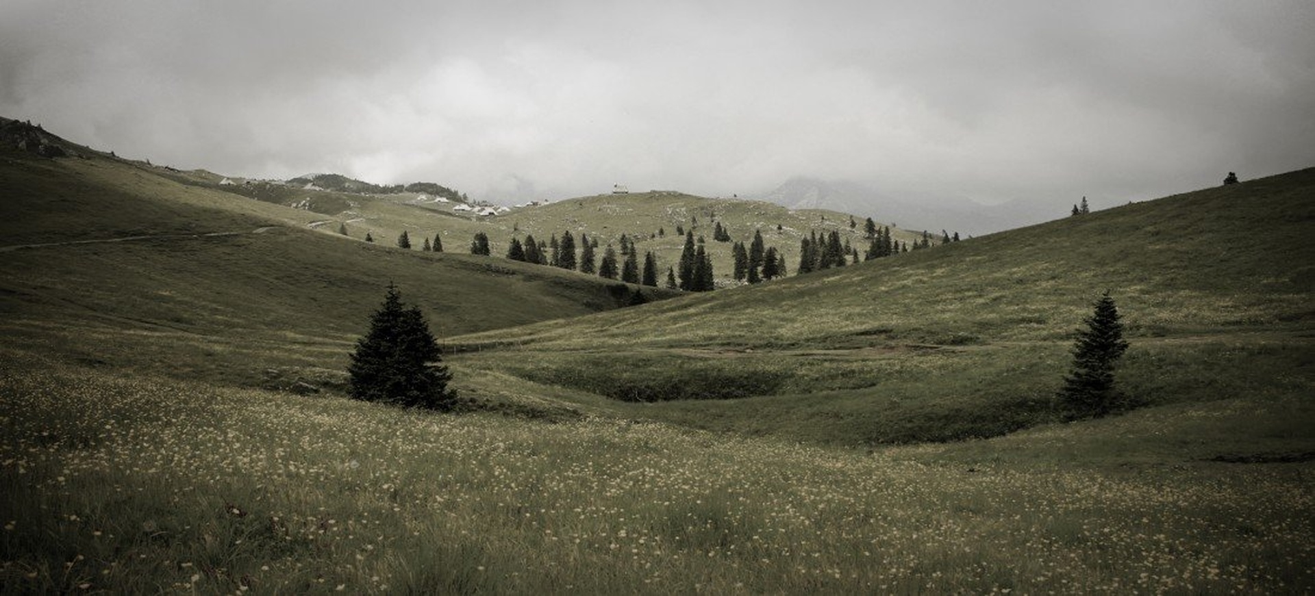 Velika planina by Luka Ploj