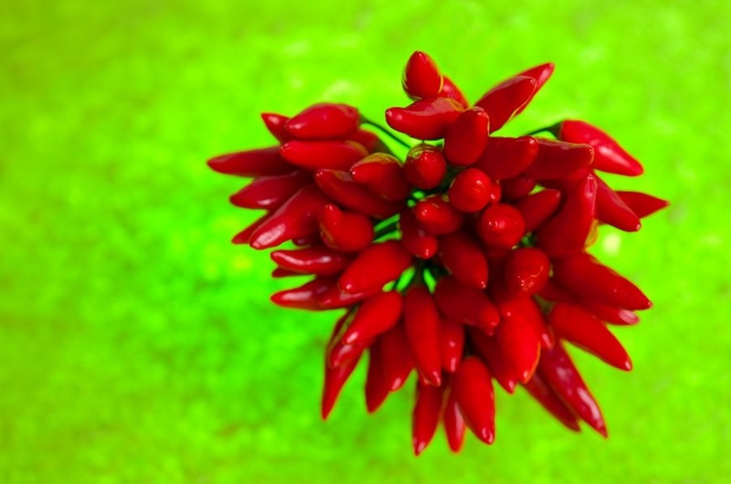 Red Hot Chili Peppers by mix