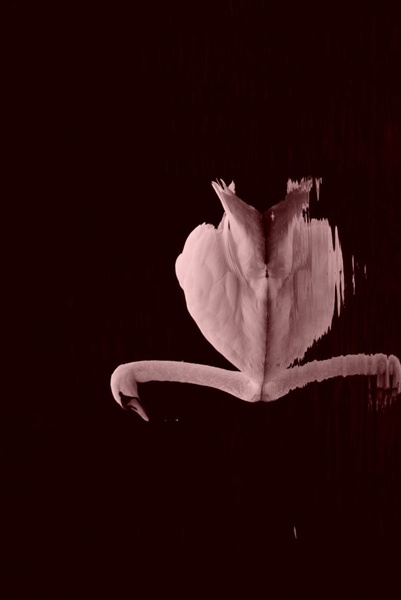 Love by Nejc Hodnik