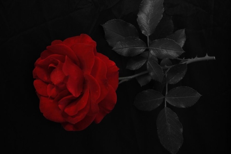 Romance by Nejc Hodnik