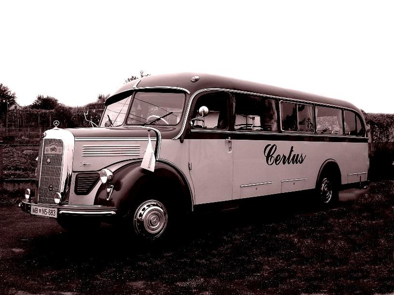 En lep star Mercedes bus by kronik