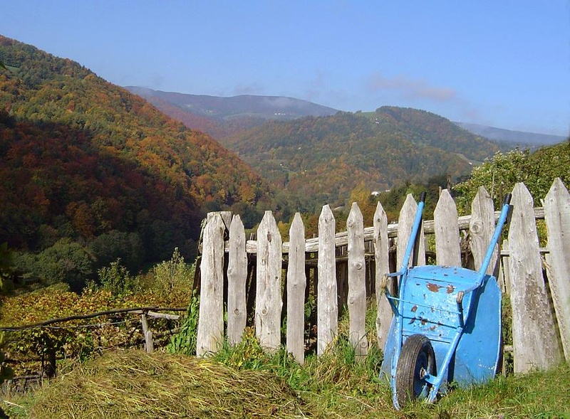 Pohorje by kronik