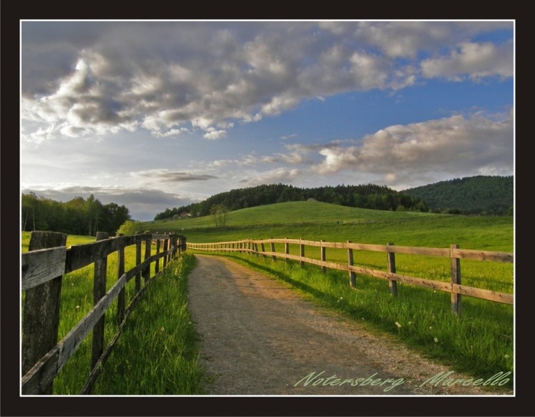 steza by mberg