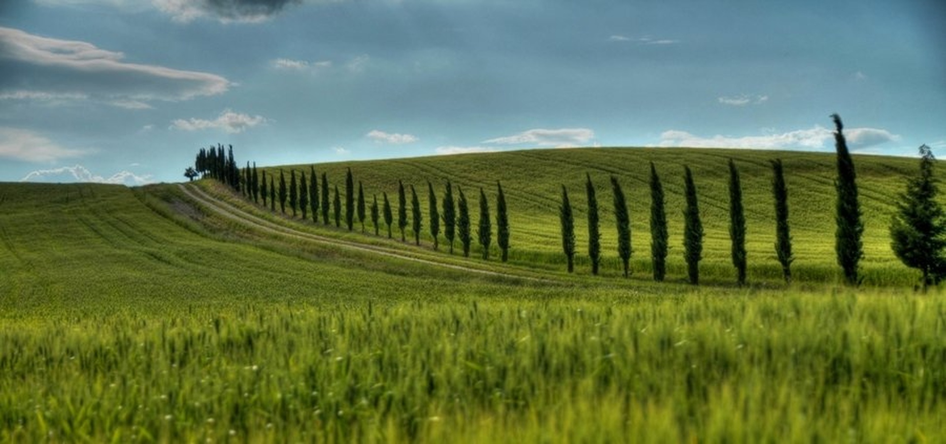 Toscana 1 by Blaž Črepinšek