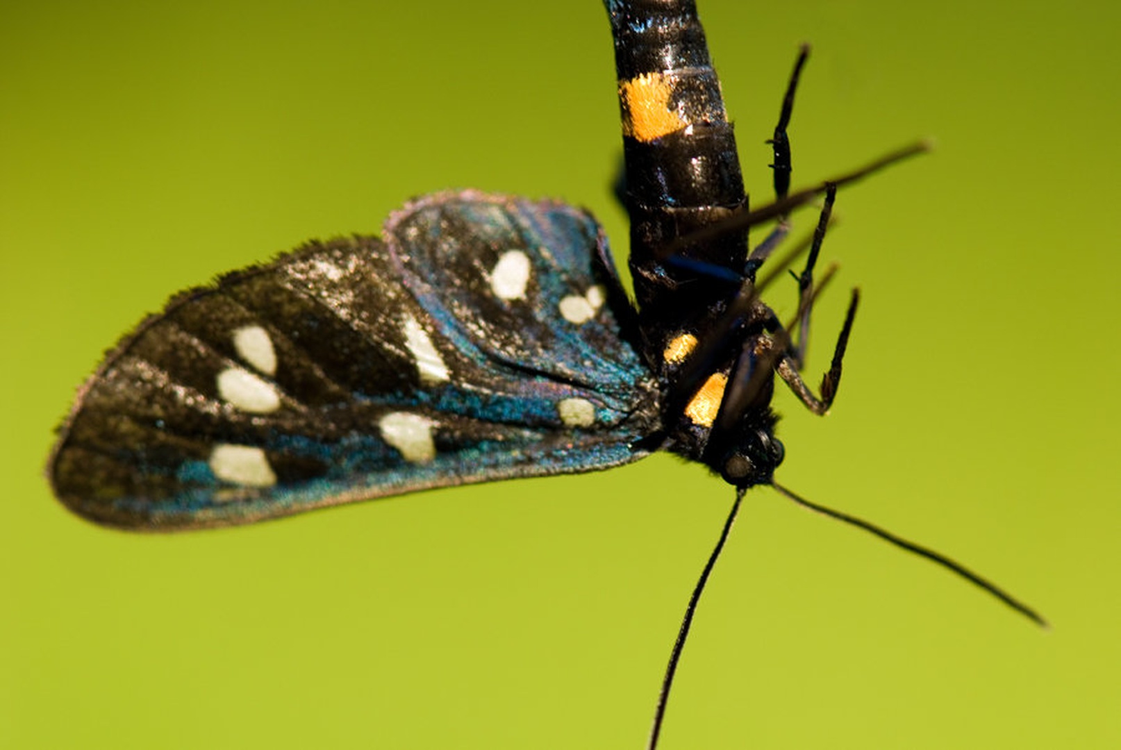 Just Hangin' around by Blaž