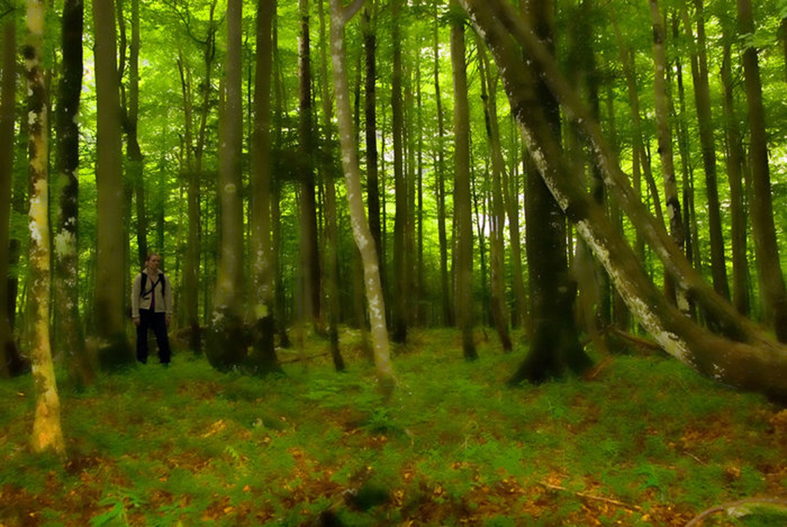 najdi uršo by Blaž