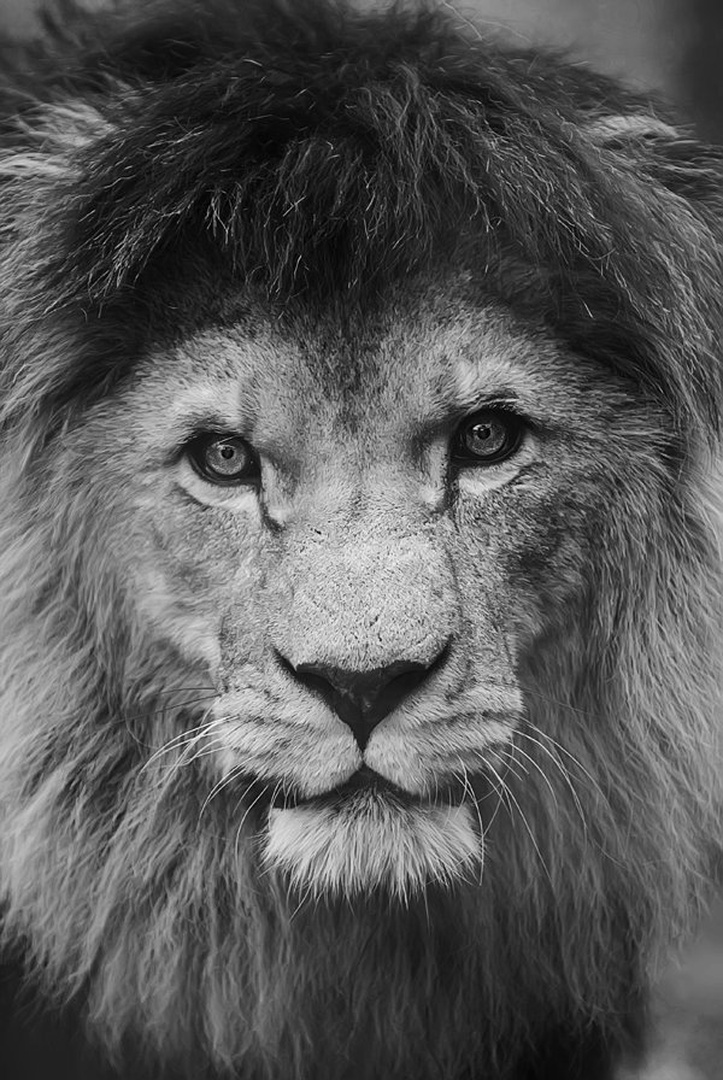 Wanna listen to my story? by Blaž