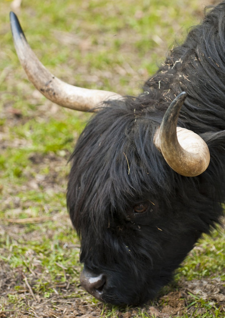 Bullseye by Blaž