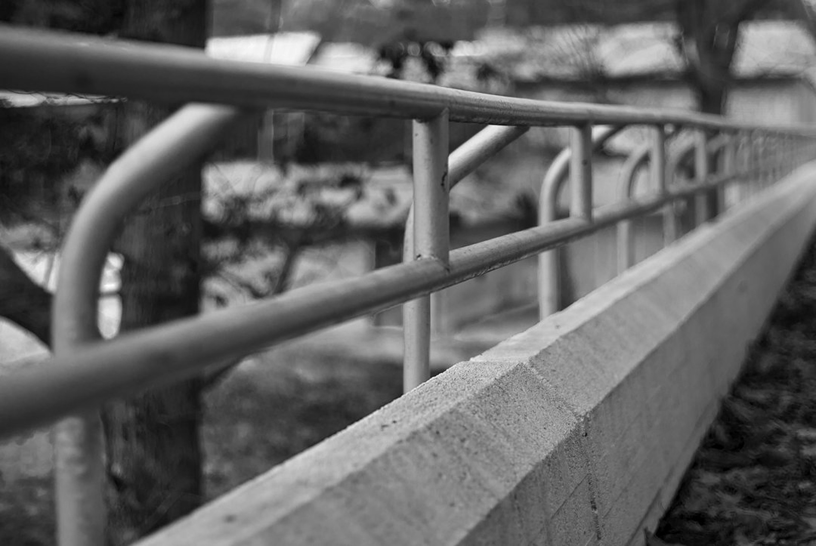 another b&w by Blaž
