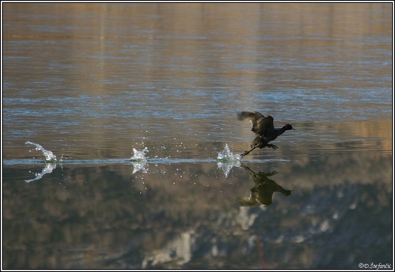 Triple jump… by