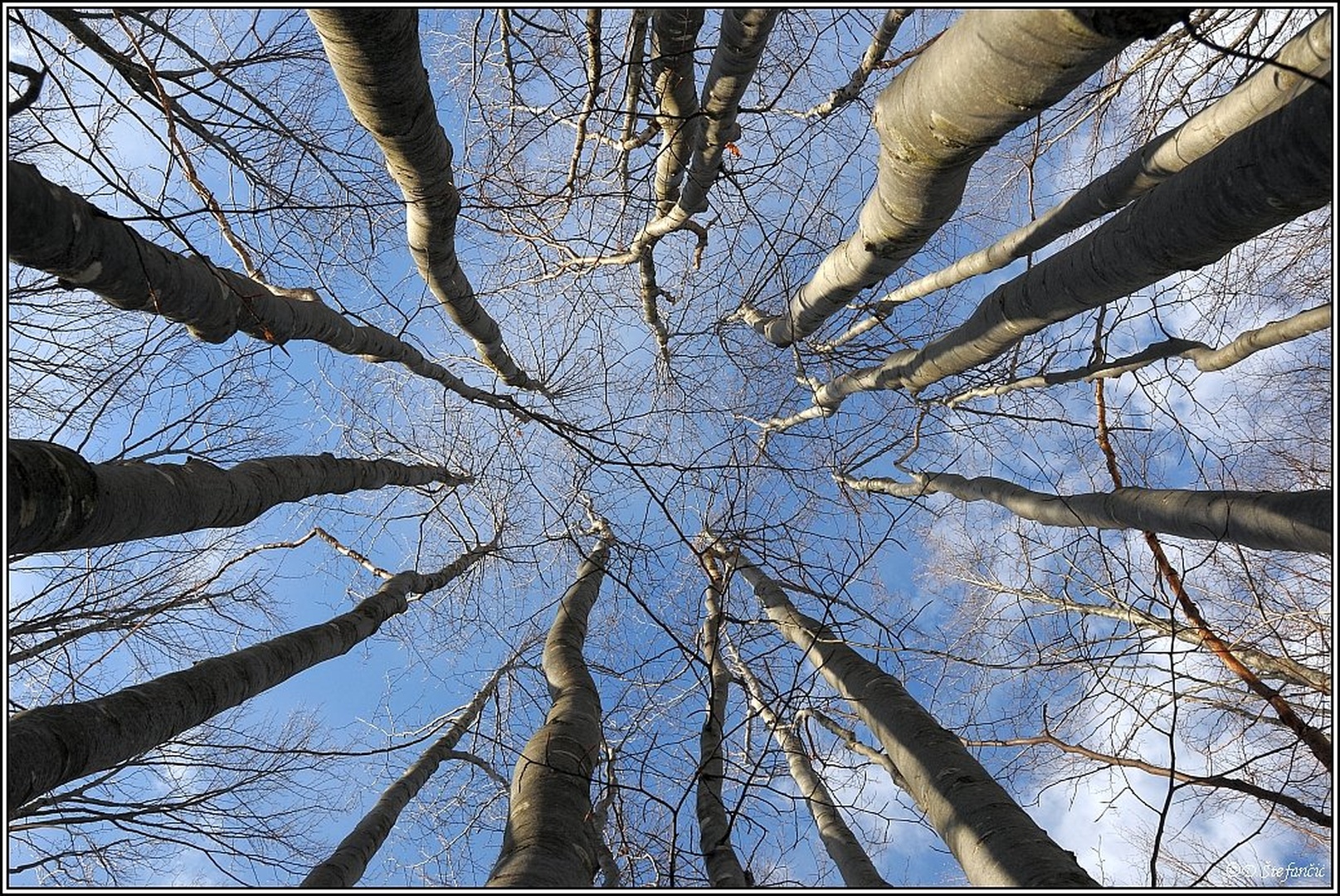 Look up... by