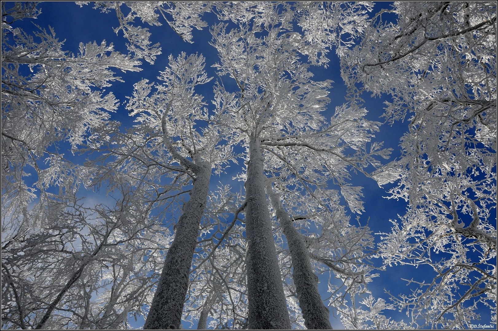 White and blue by