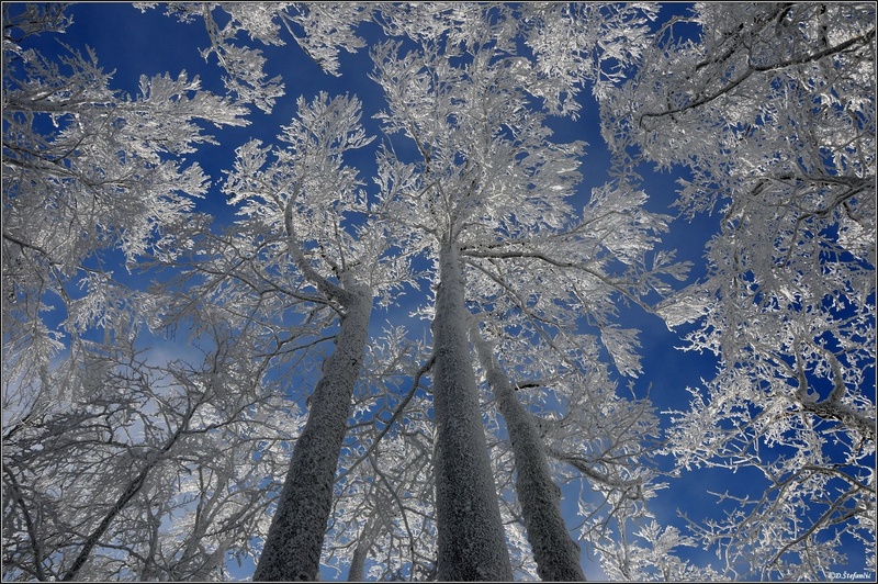 White and blue by DarioHR