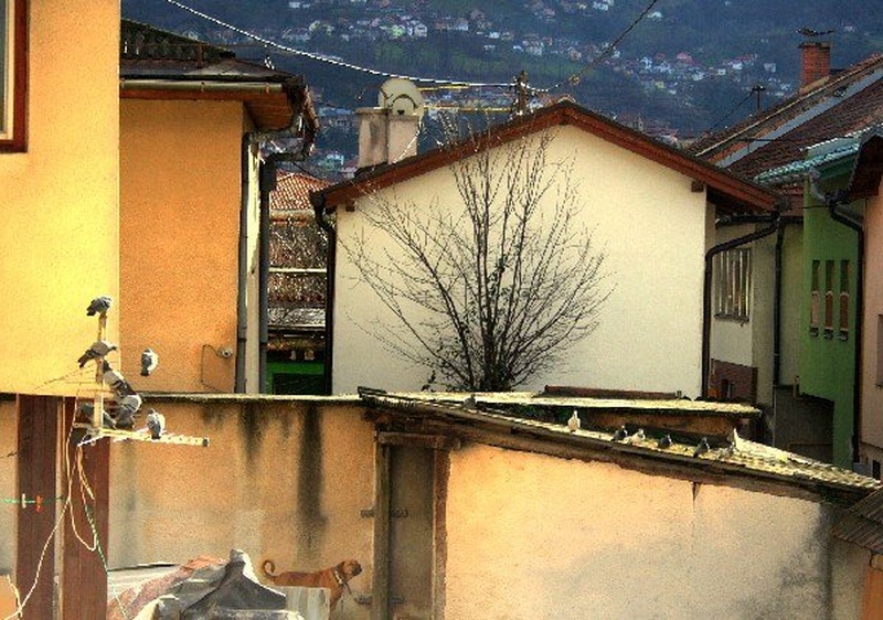 Sarajevsko dvorišče by Luka Mesec