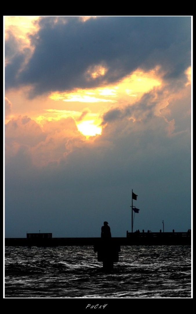 Samota by