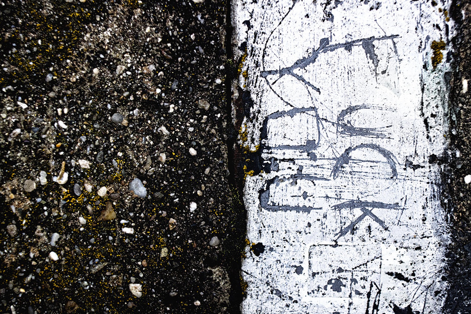 *uck you by Jure Korez