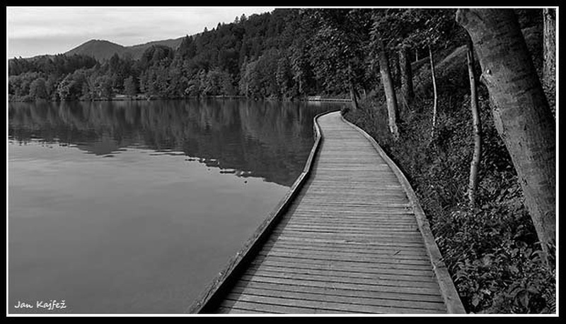 Path... by Jan Kajfež