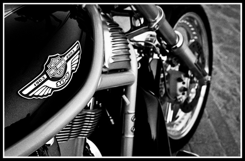 Harley Davidson by Jan Kajfež