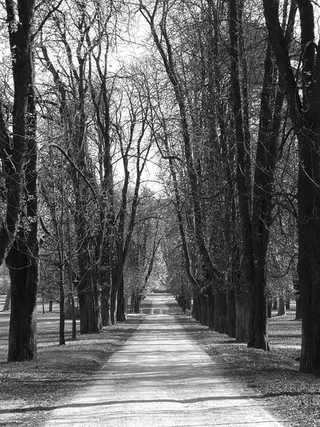 tivoli by pruase