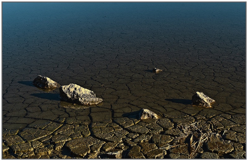 ...only few survive... by MatMar