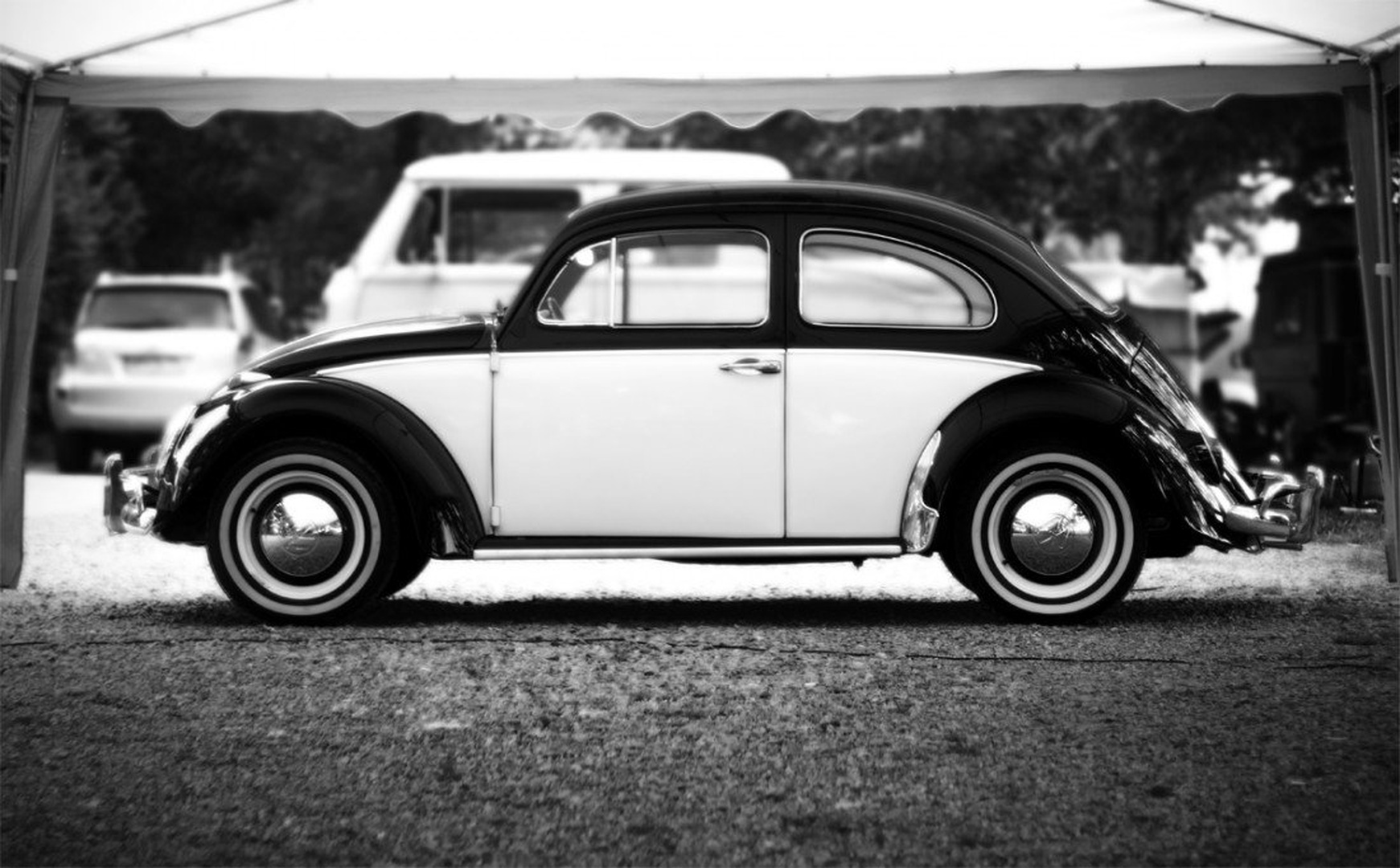 Beetle by Maj Valerij