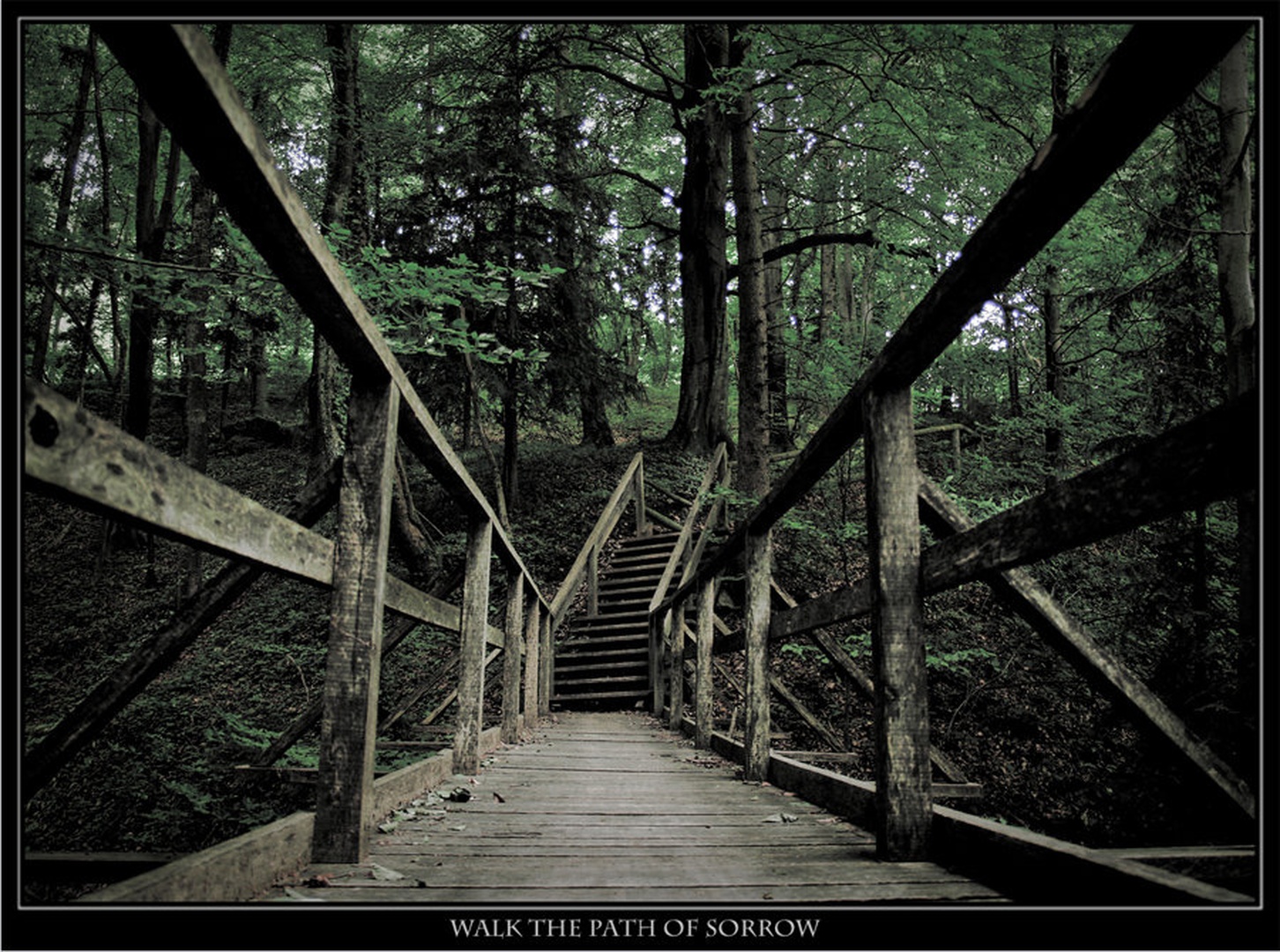 Walk the path of sorrow by Alen Tomše