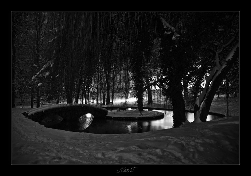 Konjiški park pozimi by Alen Tomše