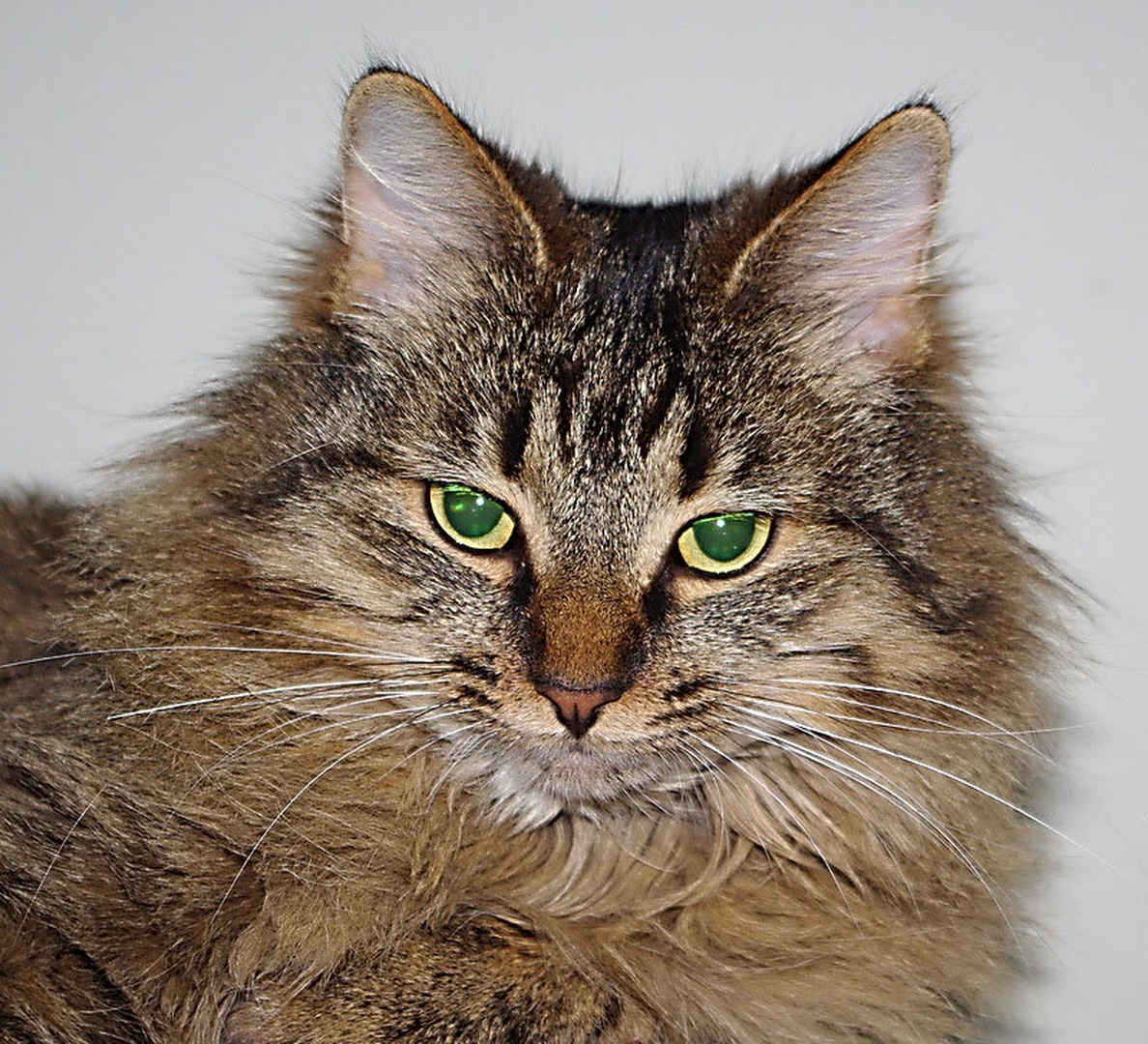 Lunin portret by