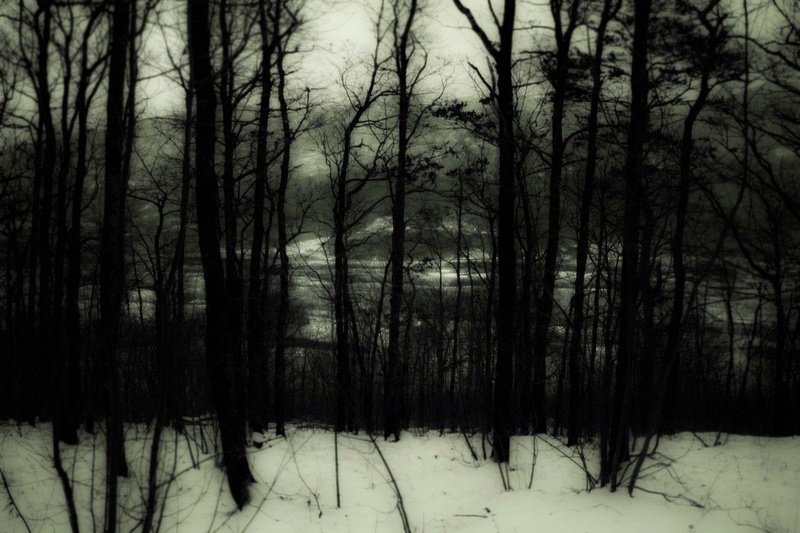 dark wood by skrl