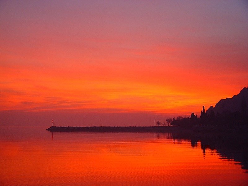 Oranžno morje by dushan