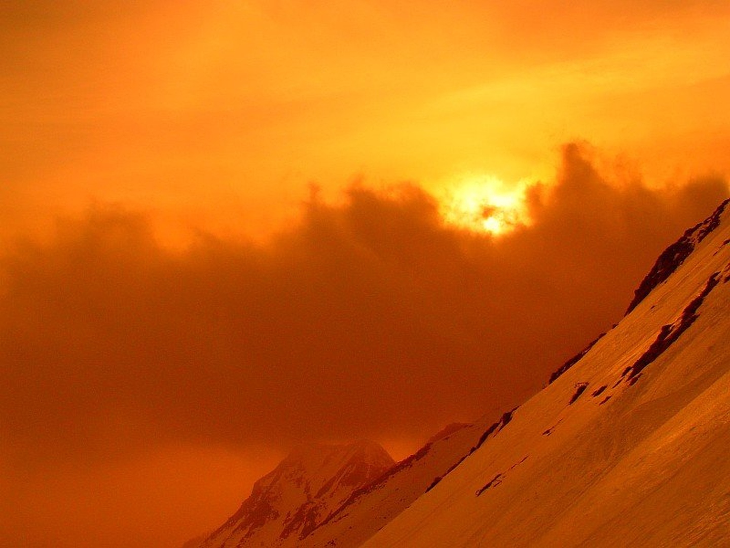 Oranžno by