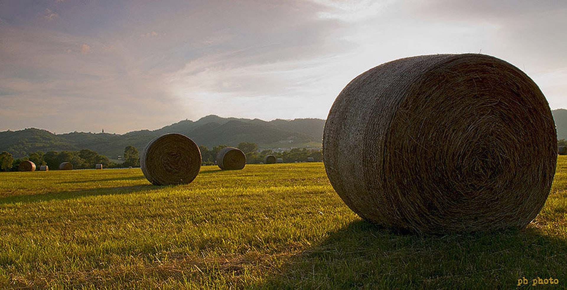 Bale by Peter Bavčar
