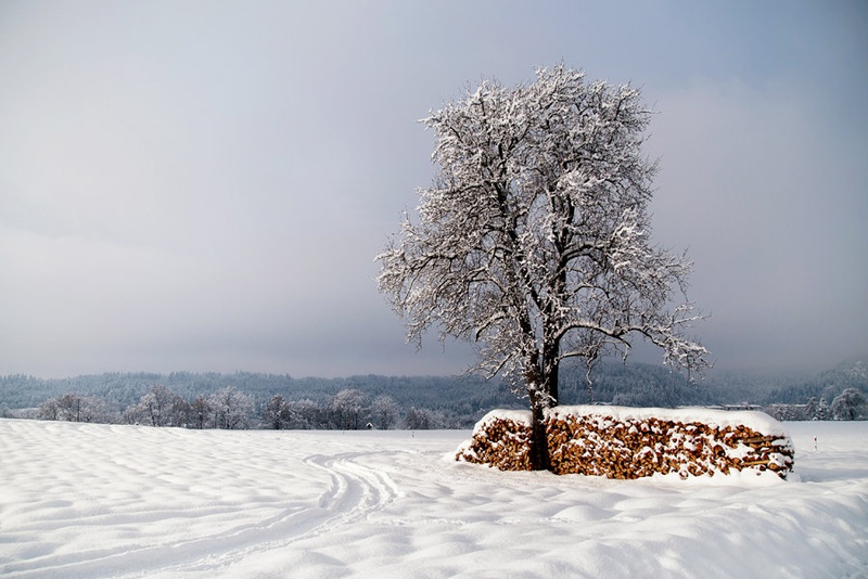 Not another winter photo.. by Peter Bavčar