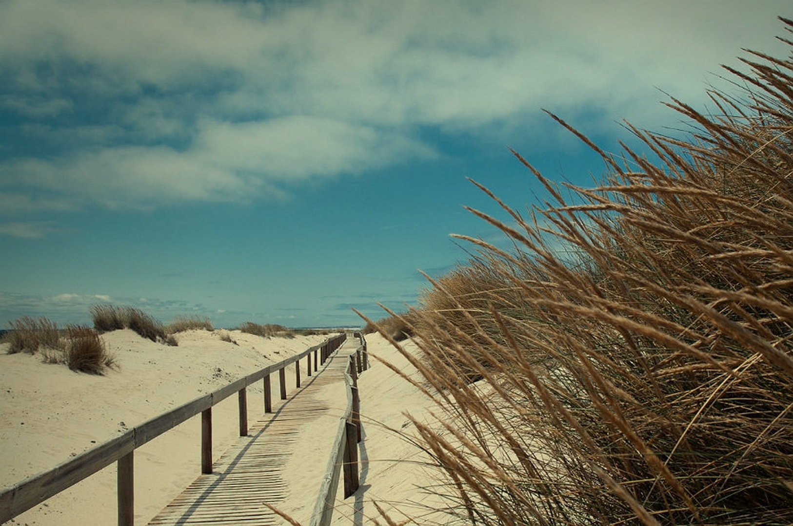 Take me to the beach.. by Peter Bavčar
