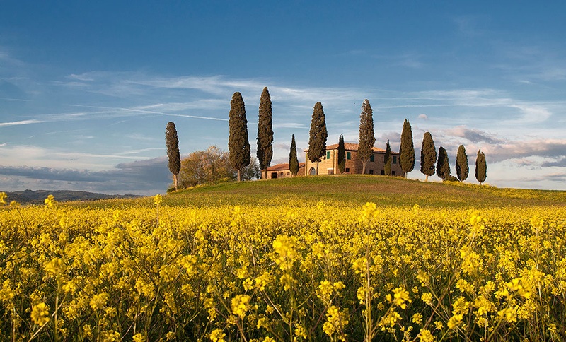 Bella Toscana by Peter Bavčar