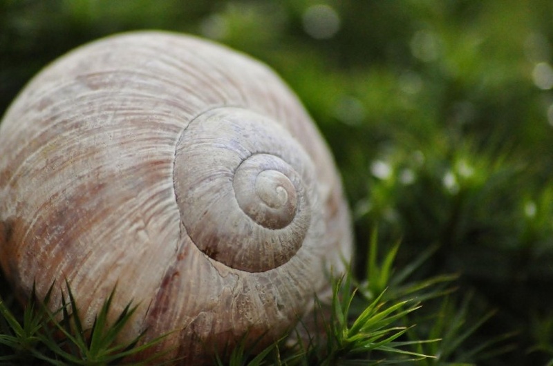 hišica by uroš ajd