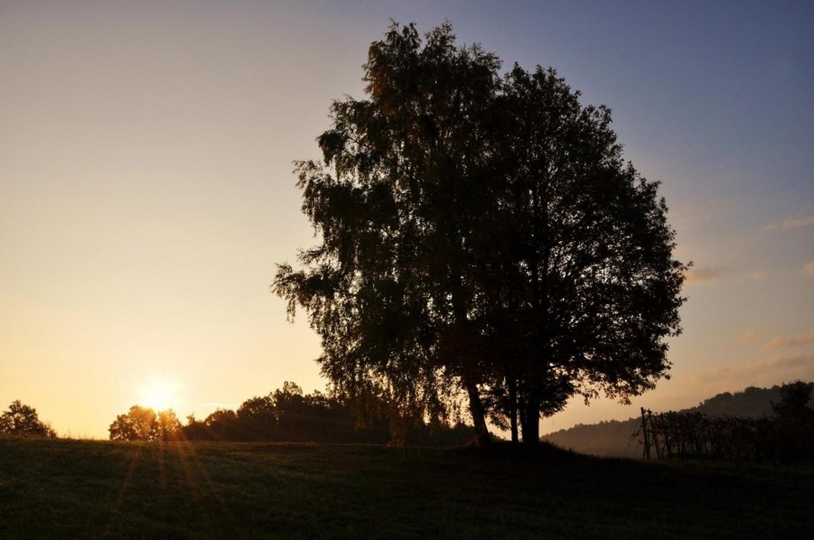 dobro jutro by uroš ajd
